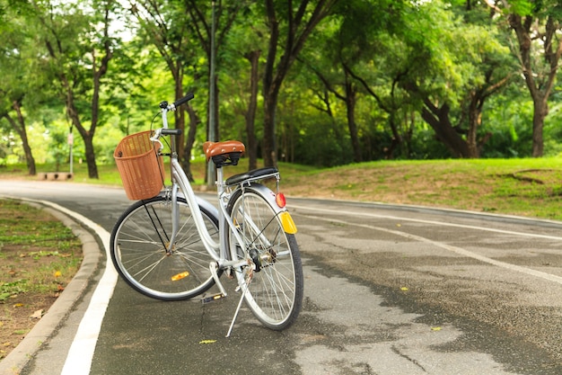Biciclette nel parco