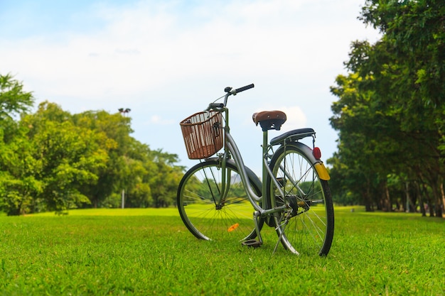 Biciclette nel parco