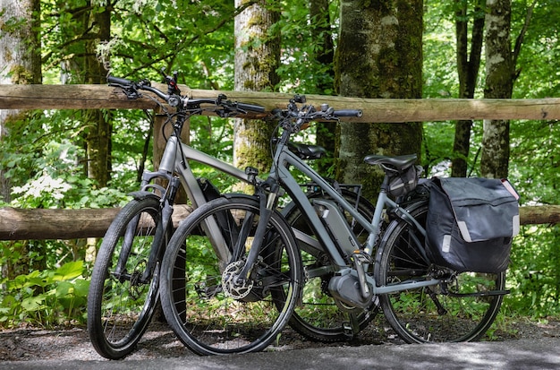 Biciclette parcheggiate nella foresta