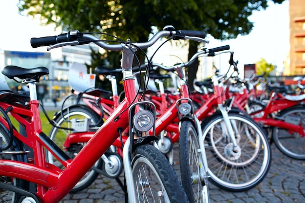 Biciclette parcheggiate su una strada di ciottoli contro gli alberi