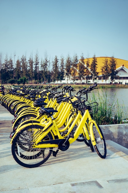 Biciclette parcheggio nel campus