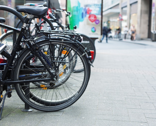 Biciclette su strada