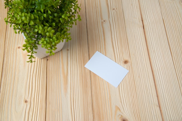 Biglietti da visita in bianco e piccolo albero decorativo in vaso bianco sul tavolo di lavoro in legno