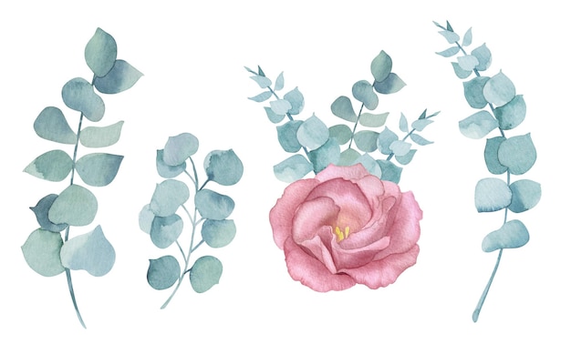 Biglietto d'auguri per matrimonio con acquerello rosa rosa vintage Illustrazione botanica Foglie di eucalipto verde