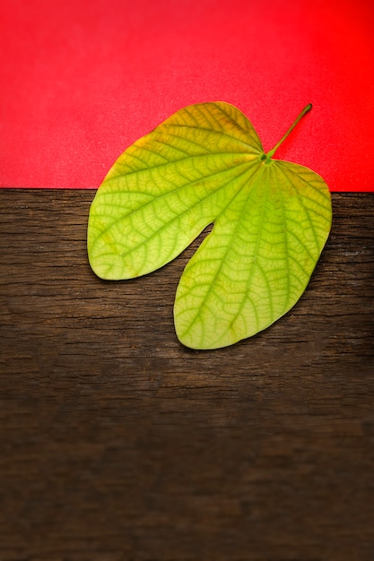 Biglietto di auguri Dussehra con apta / Bauhinia racemosa