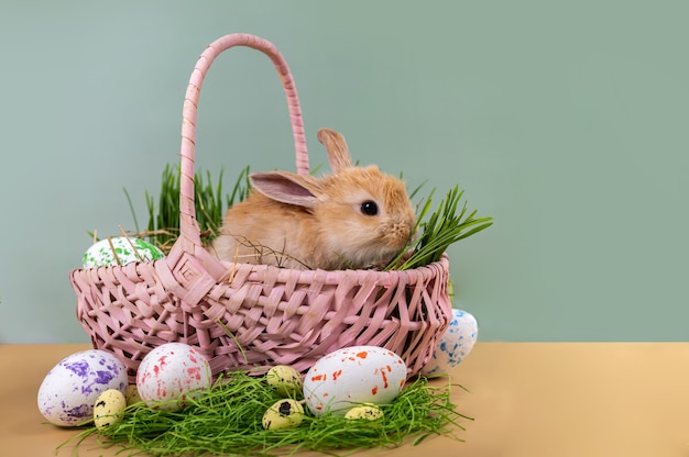 Biglietto di Pasqua - un piccolo coniglietto decorativo allo zenzero in un cesto di vimini rosa con uova di Pasqua dipinte.