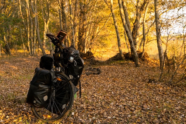 Bikepacker bici carica di borse nella foresta