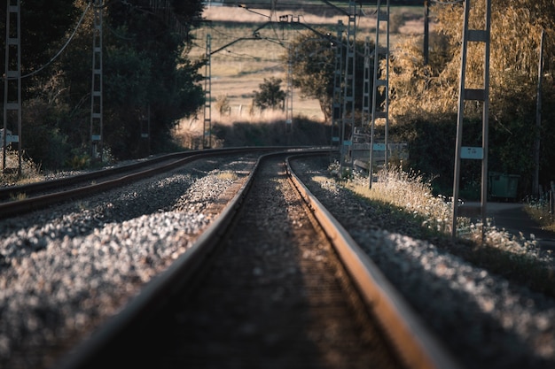 Binari del treno che vanno all'orizzonte al tramonto