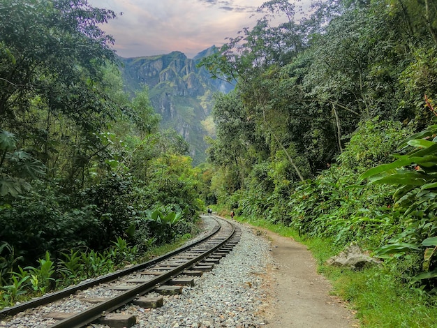 Binari del treno nel mezzo di una giungla nella città di Cusco - Perù.