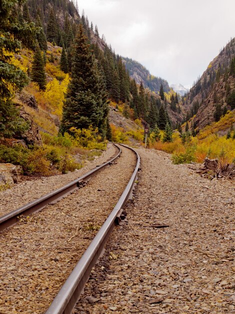 Binari della ferrovia. Questo treno è in funzione quotidianamente sulla ferrovia a scartamento ridotto tra Durango e Silverton Colorado