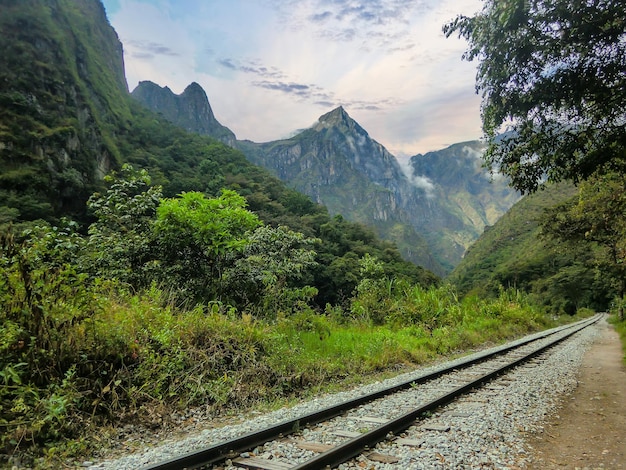 Binario di un treno e intorno a una giungla a Cusco - Perù