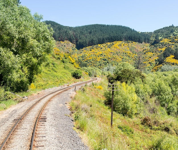 Binario ferroviario su Taieri Gorge Nuova Zelanda