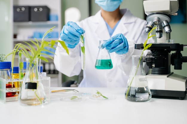 Biologo che fa esperimenti con le piante nel laboratorio di biochimica