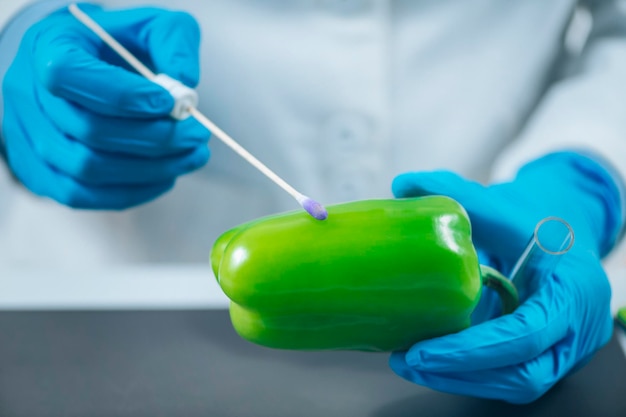 Biologo del controllo qualità alimentare che esamina la presenza di pesticidi nella verdura del peperone verde