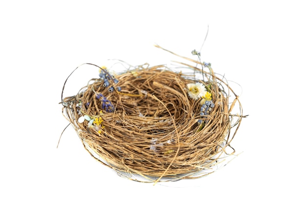 Bird Nest su superficie bianca