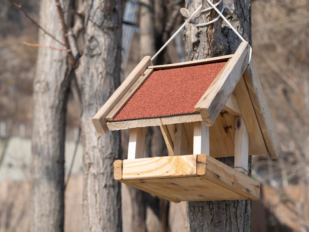 Birdhouse fatta a mano su albero Starlinghouse fatta in casa sul grande tronco d'albero Protezione della fauna selvatica