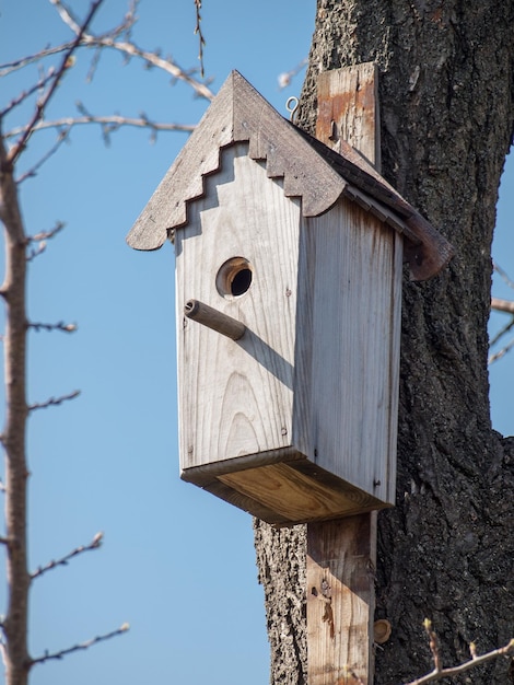 Birdhouse fatto a mano appeso a un albero nel frutteto. Riparo in legno a mano per gli uccelli per trascorrere l'inverno.