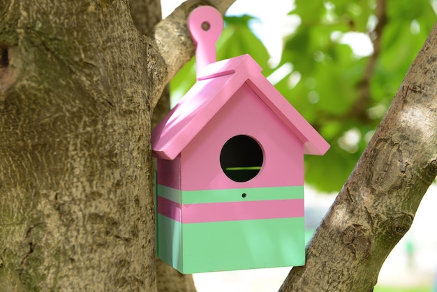 Birdhouse in giardino all'aperto