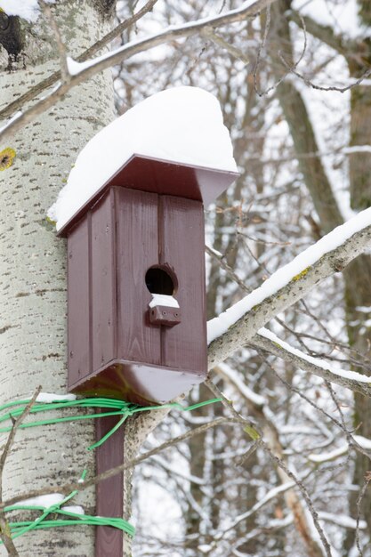 Birdhouse marrone sull'albero. Nido di legno fatto a mano coperto di neve. Paesaggio invernale con alberi coperti di neve.