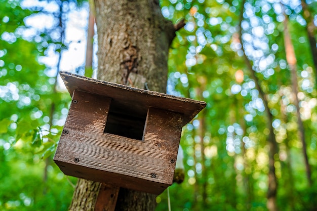 Birdhouse nella foresta sul tronco di un albero