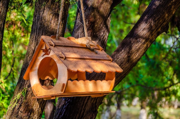 Birdhouse per uccelli su un albero in un parco estivo.