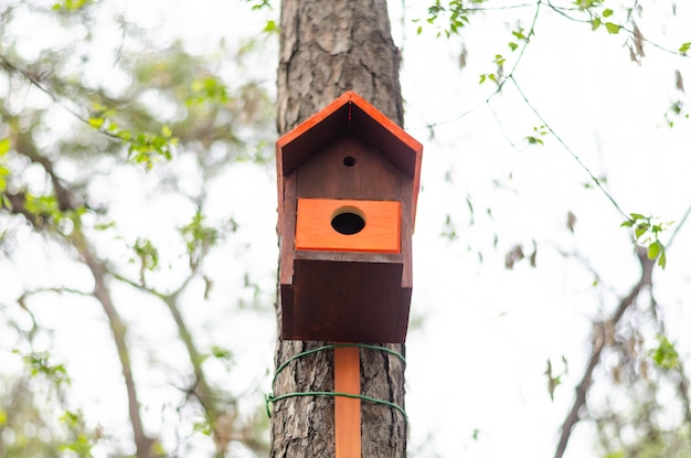 Birdhouse per uccelli su un albero.