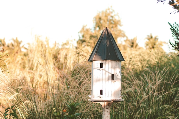 Birdhouses e Bird Feede