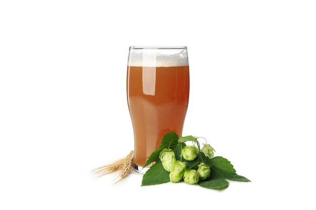 Birra e luppolo verde isolato su bianco