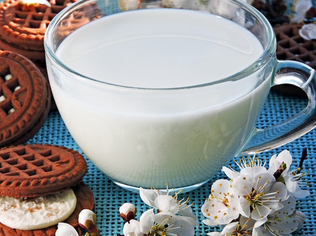 Biscotti al cioccolato con crema bianca e fiori di sakura