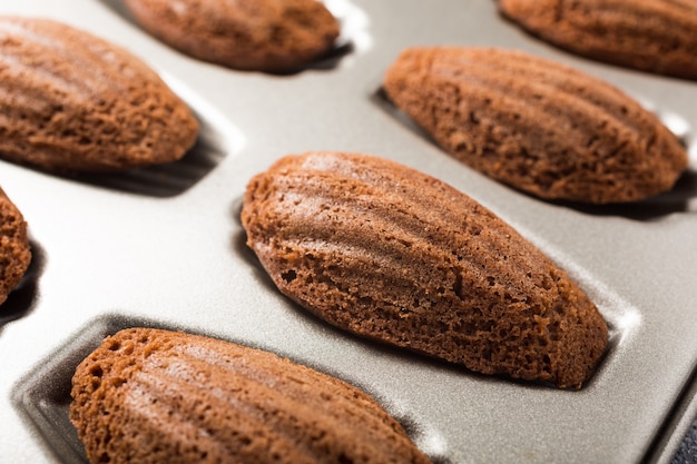 Biscotti al cioccolato madeleines