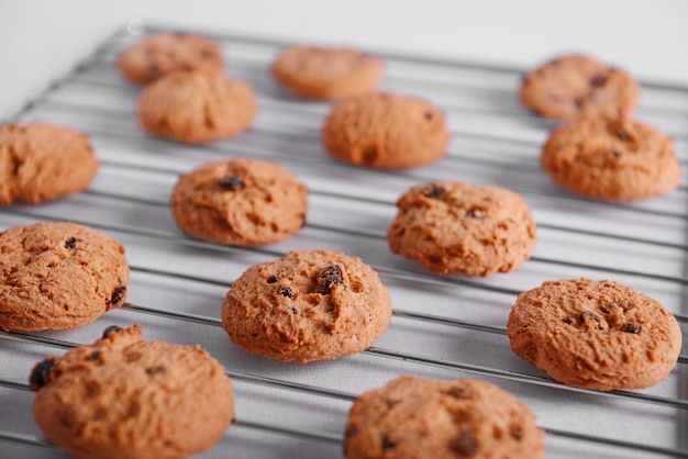 Biscotti appena sfornati sulla cremagliera del vassoio