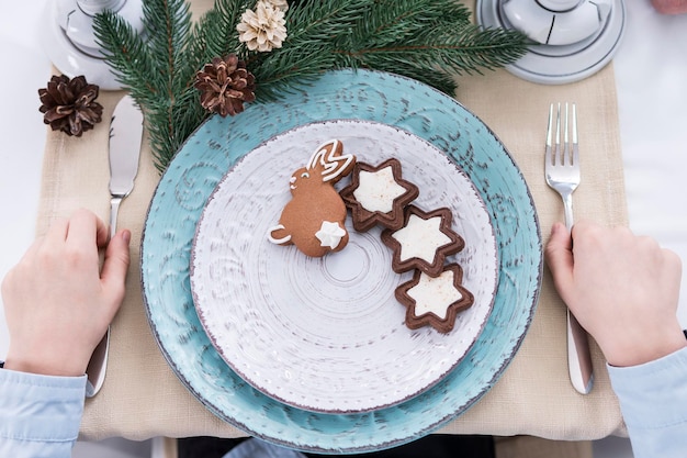 Biscotti coniglio e stelle su un piatto accanto al ramo di Natale di abete