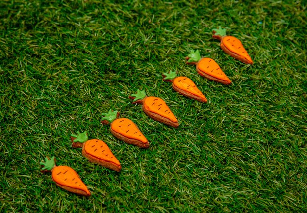 Biscotti della carota di Pasqua su verde