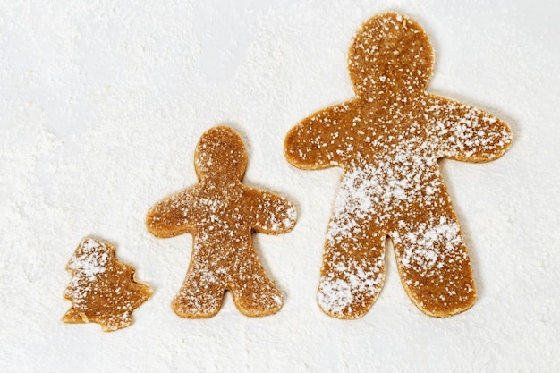 Biscotti di panpepato di Natale