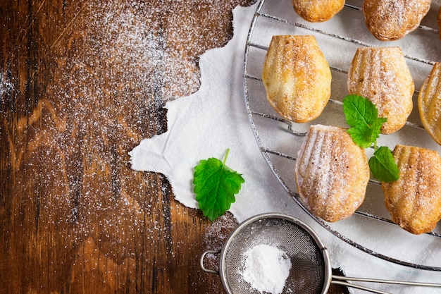 Biscotti Madeleine e colino con zucchero a velo