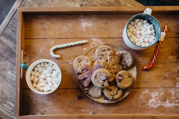 biscotti pan di zenzero con cacao