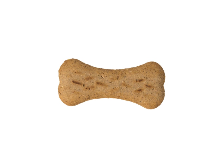 Biscotti per cani con cereali isolati su uno sfondo bianco Piatto lay