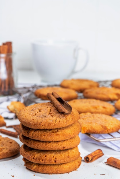 Biscotti Snickerdoodle