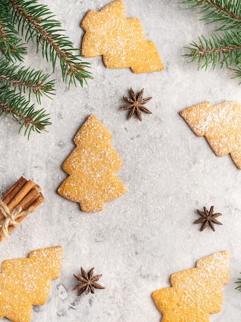 Biscotti tradizionali di pan di zenzero e miele, forma di albero di Natale, rami di abete, stelle di anice, bastoncini di cannella e cornice di polvere di zucchero. Cartolina di Natale e invernale, bianca.