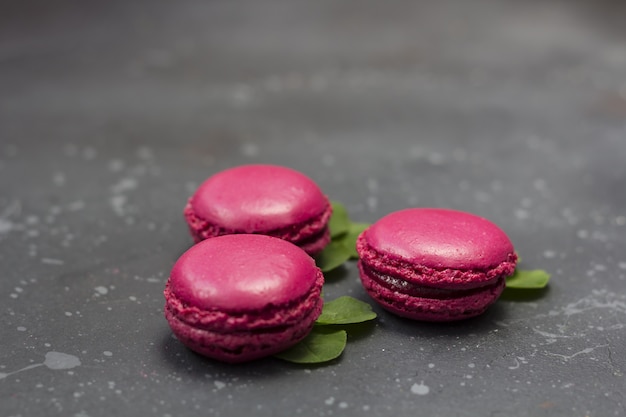 Biscotti variopinti dei macarons francesi (maccheroni). Dessert da servire con pausa tè o caffè. Regalo di festa per le donne.