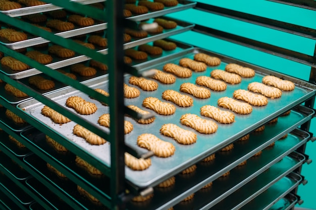 Biscotto al burro-scozzese. Produzione di biscotti di pasta frolla presso uno stabilimento dolciario. Biscotti di pasta frolla su una griglia di metallo dopo la cottura in forno.