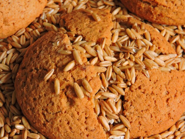 Biscotto di farina d'avena e chicchi di avena.