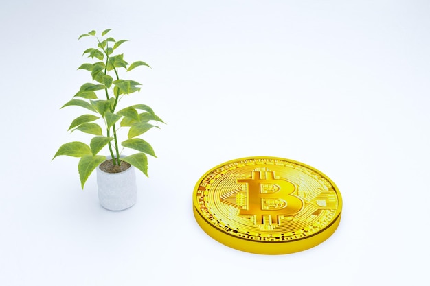 Bitcoin con l'albero