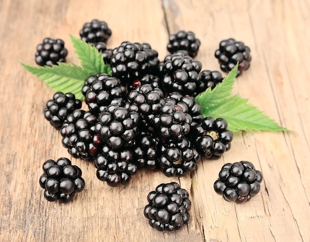 Blackberry frutta