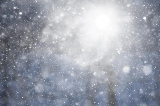 blizzard sullo sfondo della foresta, astratto sfondo sfocato fiocchi di neve che cadono nella foresta invernale sul paesaggio