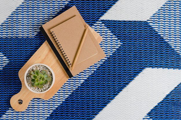 Blocco note con vaso di pianta sul tappetino blu e bianco