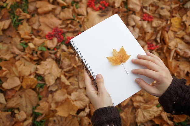Blocco note in mani su sfondo di foglie d'autunno