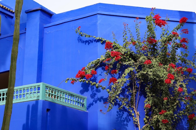 Blue Villa House nel Giardino Majorelle a Marrakech in Marocco