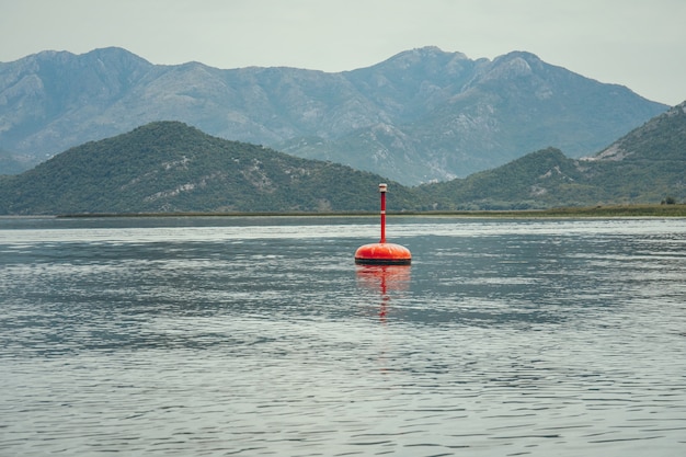 Boa rossa che galleggia sulla superficie dell'acqua del lago