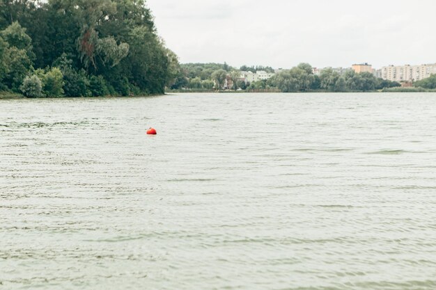 Boa rossa nell'acqua del lago, del mare o del fiume in città Avviso di attenzione per le persone umane